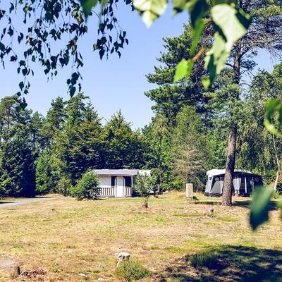 Camping Vorzelt Wiese