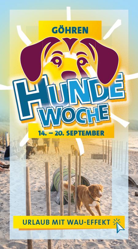 Hundewoche Göhren 