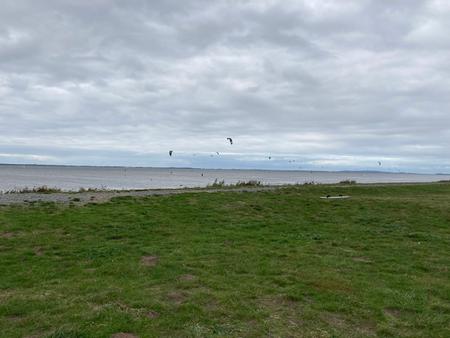 Hafentage Husum 