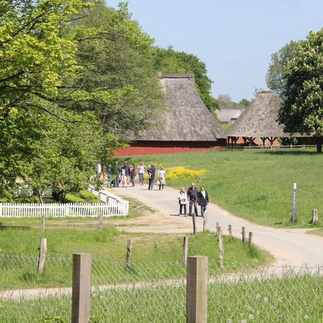 Freilichtmuseum Molfsee
