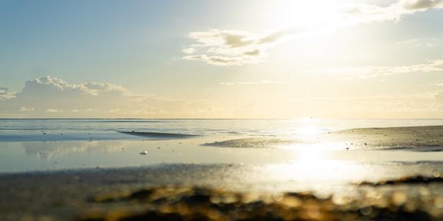 Mit Brückentagen mehr vom Urlaub