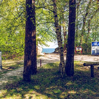 Anlage Nonnevitz Wald Lichtung Waldweg