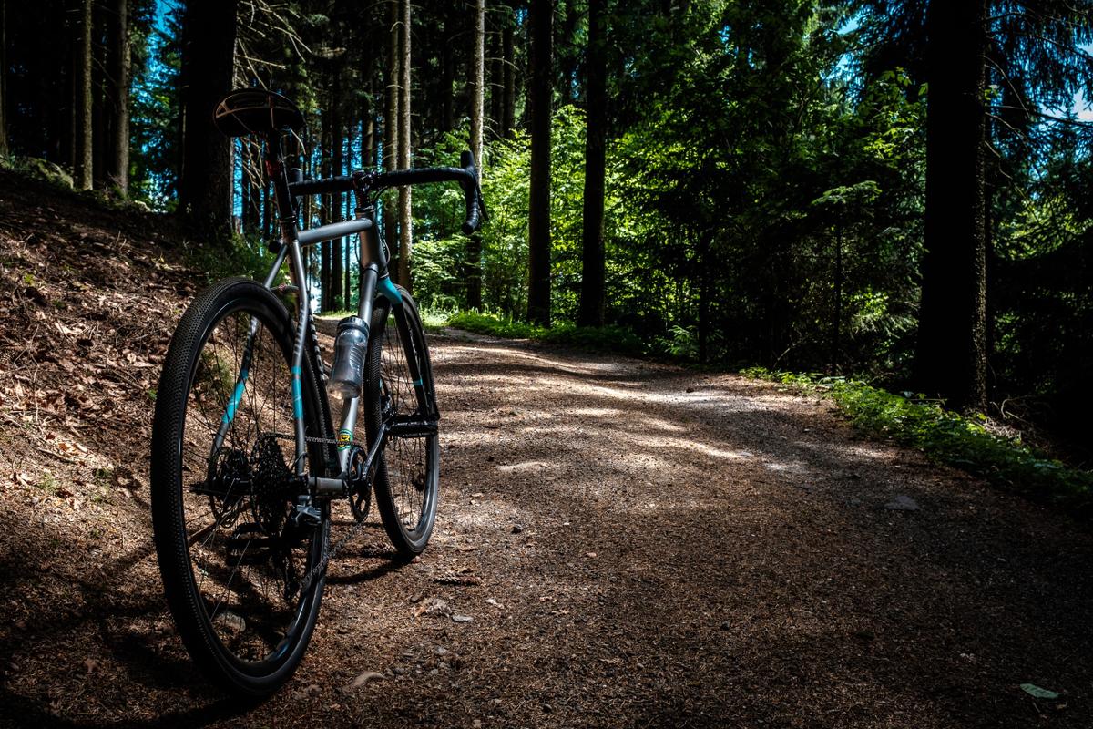 Fahrrad Wald Bäume Weg
