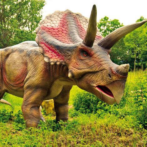 Spielscheune Burhave