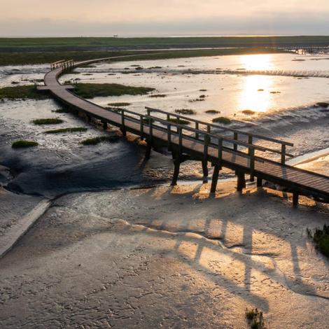 Langwarder Groden Butjadingen