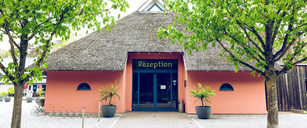 Rezeption in Göhren