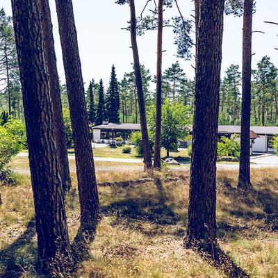 Campingurlaub in der Lüneburger Heide