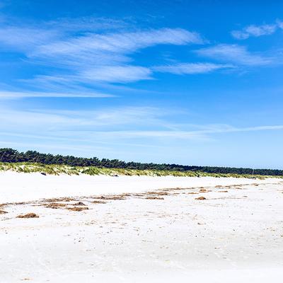 Die Ferienanlage in Prerow erstreckt sich über 2,5 km direkt am Strand entlang