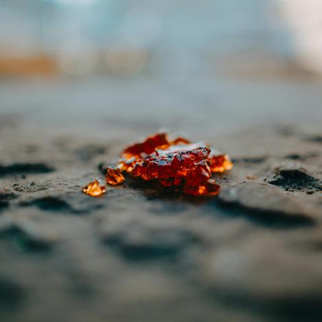 Deutsches Bernsteinmuseum Kloster Ribnitz