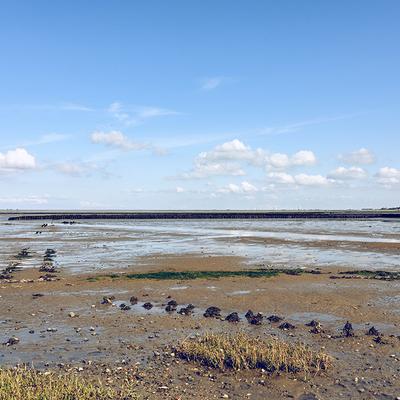 Watt Husum blauer Himmel Wolken