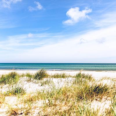 Strand in Prerow