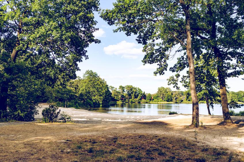 Rettungsschwimmer gesucht