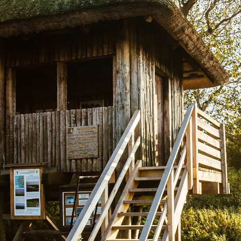 Vogelbeobachtungspunkt Tankow