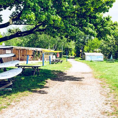 Surfen in Born an der Ostsee