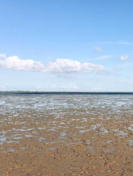 Wattenmeer Husum