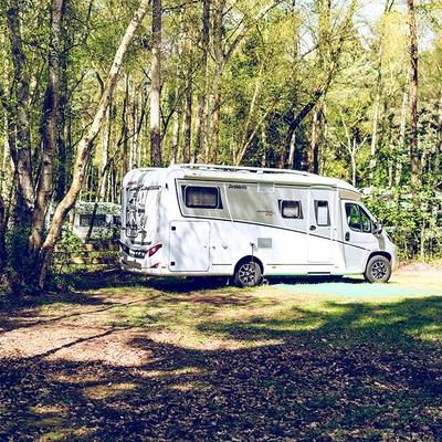 Wohnmobil Wald Lichtung