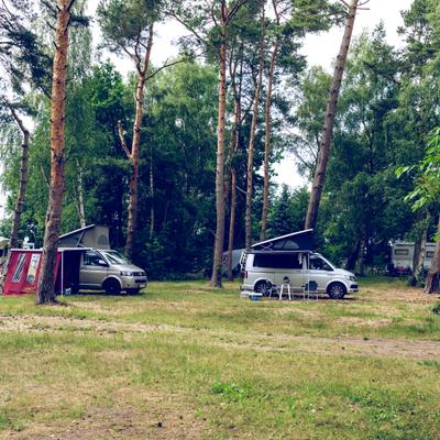 Wald Wohnmobile 