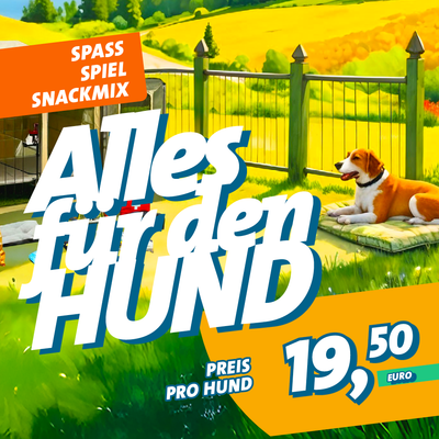 Alles für den besten Freund des Menschen – genießt den Urlaub mit Hund ganz sicher und entspannt. 