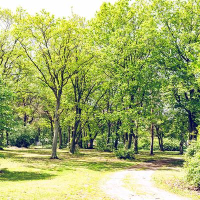 Ruhe genießen in der Nebensaison