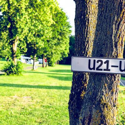 Camping Dransfeld Platznummerierung Baum