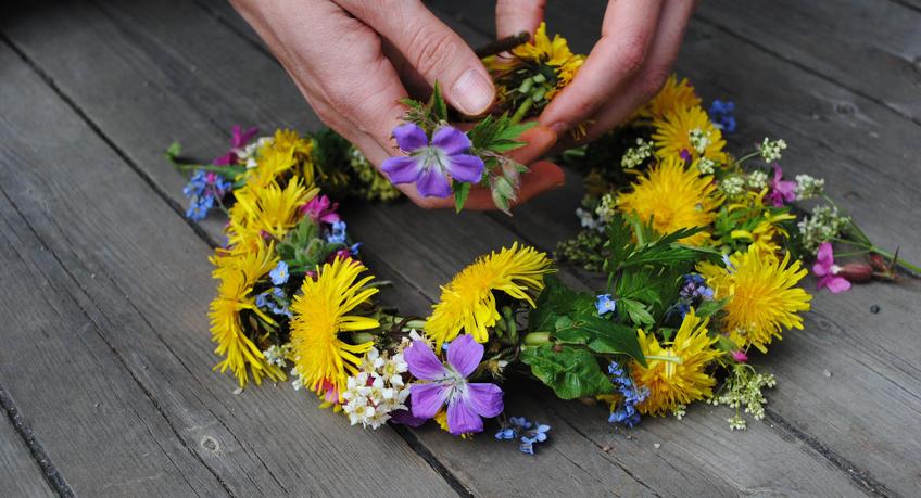 Camping zur Landesgartenschau