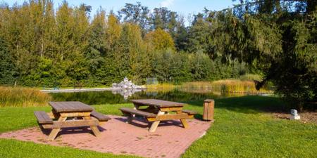 Natursee Bad Gandersheim