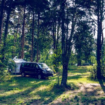 Wohnmobile Camping Weg blauer Himmel Wald