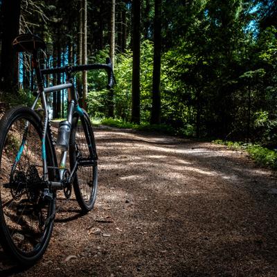 Fahrrad Wald Münsterland