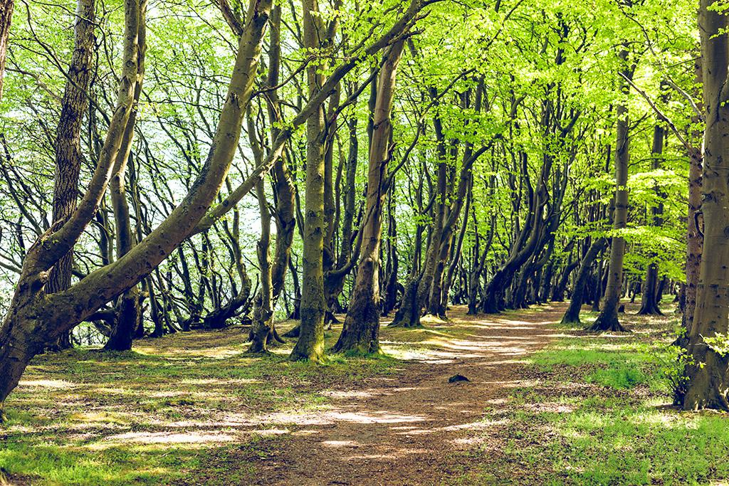 Aktiv in der Natur