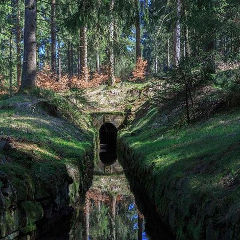 UNESCO im Harz