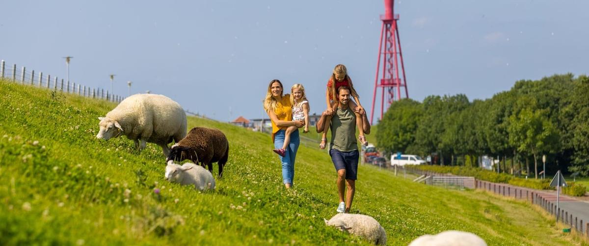 Ausflugsziele um Tossens