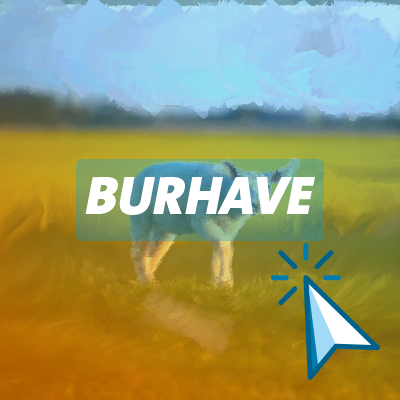 Burhave