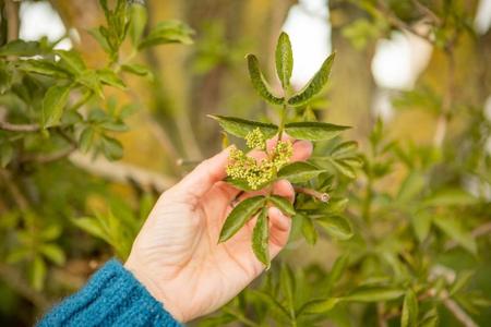 Veranstaltungen Husum