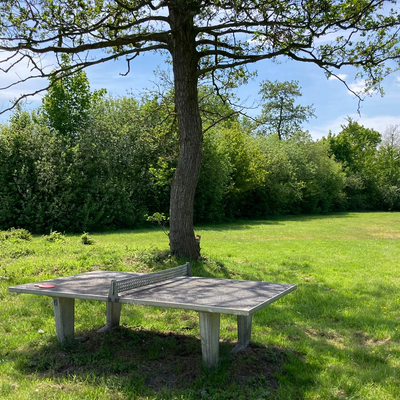 Tischtennisplatte Rasen Baum blauer Himmel