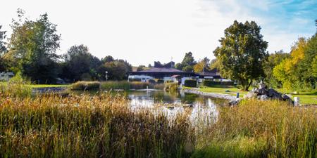 Natursee Bad Gandersheim